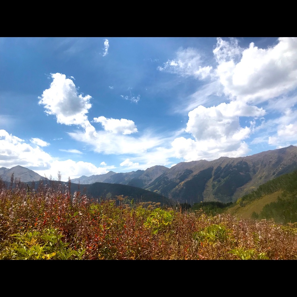 Meet your Posher, Kara C